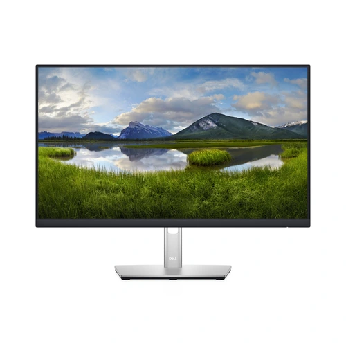 DELL P2422H / 24"