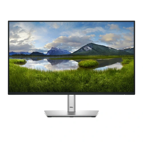 DELL P2425H / 24"