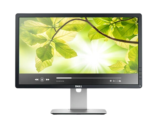 DELL P2214H / 22" (B)